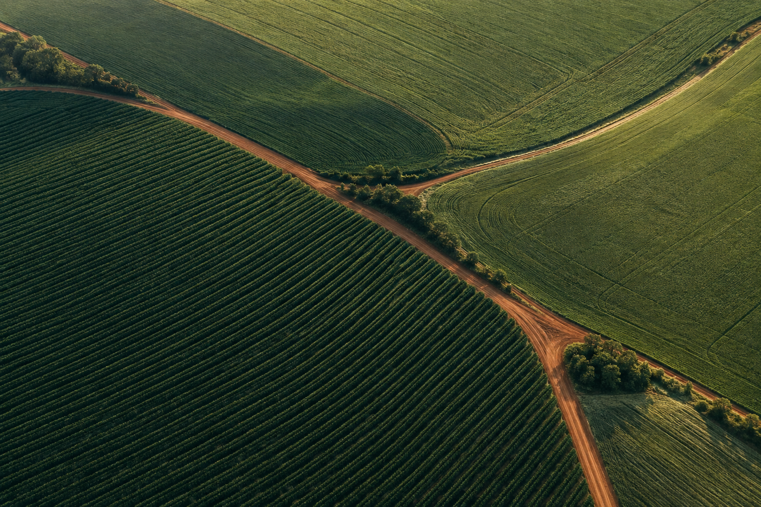 Vista aérea ilustrativa de lavouras com linhas de plantio e caminhos entre os campos